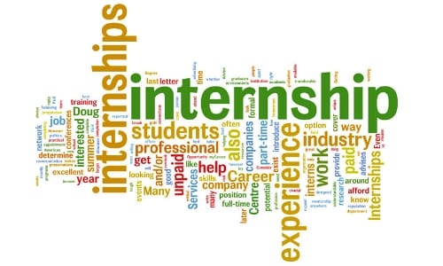 Internship Image